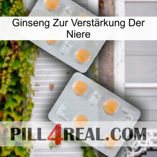 Ginseng Zur Verstärkung Der Niere 25